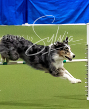 2025-10-11-BANDA-SAT-730