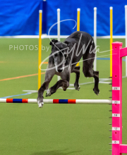 2025-10-11-BANDA-SAT-736