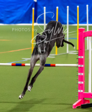 2025-10-11-BANDA-SAT-737