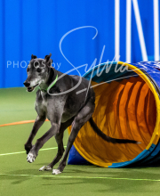 2025-10-11-BANDA-SAT-738