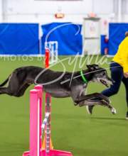 2025-10-11-BANDA-SAT-741