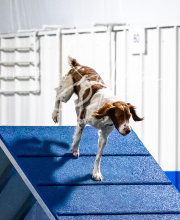 2025-10-11-BANDA-SAT-746