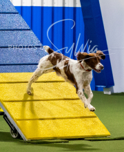 2025-10-11-BANDA-SAT-748