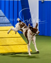 2025-10-11-BANDA-SAT-749