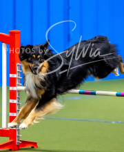 2025-10-11-BANDA-SAT-769