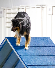 2025-10-11-BANDA-SAT-779