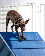 2025-10-11-BANDA-SAT-792