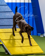 2025-10-11-BANDA-SAT-796