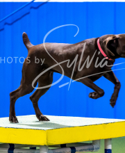 2025-10-11-BANDA-SAT-798