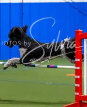 2025-10-11-BANDA-SAT-801