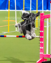 2025-10-11-BANDA-SAT-805