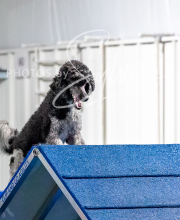 2025-10-11-BANDA-SAT-807