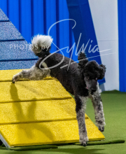 2025-10-11-BANDA-SAT-815