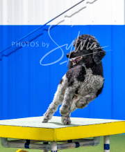 2025-10-11-BANDA-SAT-820