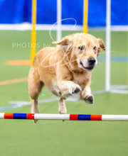 2025-10-11-BANDA-SAT-822