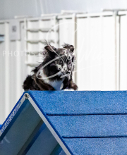 2025-10-11-BANDA-SAT-831