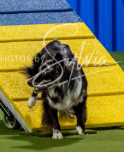 2025-10-11-BANDA-SAT-837