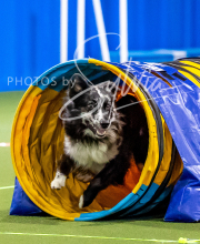 2025-10-11-BANDA-SAT-840