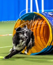 2025-10-11-BANDA-SAT-842