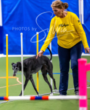 2025-10-11-BANDA-SAT-858