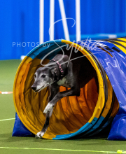 2025-10-11-BANDA-SAT-859