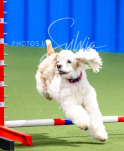 2025-10-12-BANDA-SUN-10