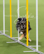 2025-10-12-BANDA-SUN-1009