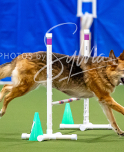 2025-10-12-BANDA-SUN-101