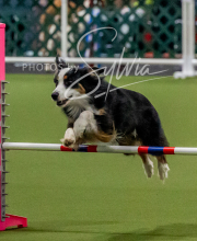 2025-10-12-BANDA-SUN-1016