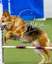 2025-10-12-BANDA-SUN-102