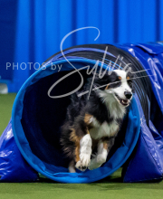 2025-10-12-BANDA-SUN-1020