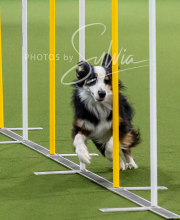 2025-10-12-BANDA-SUN-1024