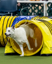 2025-10-12-BANDA-SUN-1028