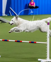 2025-10-12-BANDA-SUN-1031