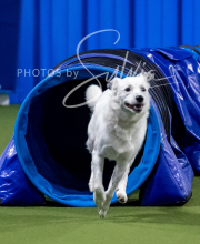 2025-10-12-BANDA-SUN-1034