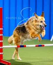 2025-10-12-BANDA-SUN-104