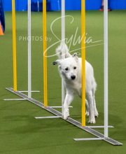 2025-10-12-BANDA-SUN-1043