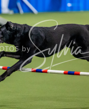 2025-10-12-BANDA-SUN-1053