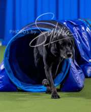 2025-10-12-BANDA-SUN-1055