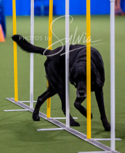 2025-10-12-BANDA-SUN-1062