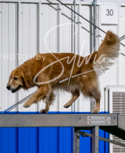 2025-10-12-BANDA-SUN-1068