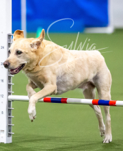 2025-10-12-BANDA-SUN-108