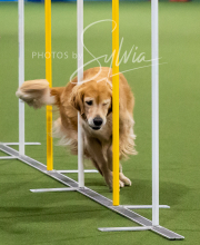 2025-10-12-BANDA-SUN-1083