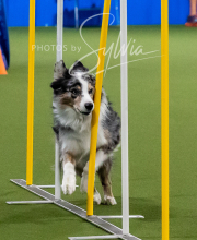 2025-10-12-BANDA-SUN-1095