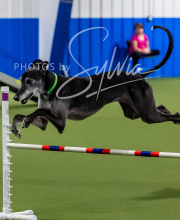 2025-10-12-BANDA-SUN-1101