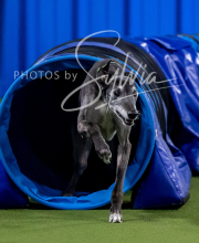 2025-10-12-BANDA-SUN-1103