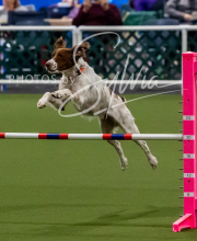 2025-10-12-BANDA-SUN-1116