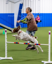 2025-10-12-BANDA-SUN-1117