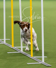 2025-10-12-BANDA-SUN-1123