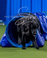 2025-10-12-BANDA-SUN-1131